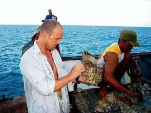 Martin Wenzel (Bild)