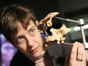 Pezzo di un teschio di 800000 anni fa scoperto ad Atapuerca (Patrick Kovarick-AFP-Getty Images)