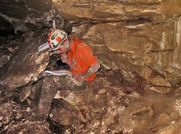 4(gnews.com) (gnews.com)