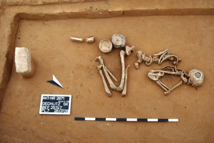 Sepoltura di un uomo della cultura del vaso campaniforme risalente al 2800 - 1900 a.C. (DPA-Denkmalpflege und Archäologie Halle-Saale)