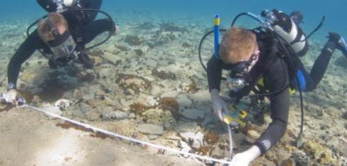 Subacquei a Pavlopetri (University of Nottingham)