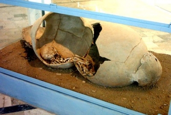 Uno dei due vasi funebri (english.globalarabnetwork.com)