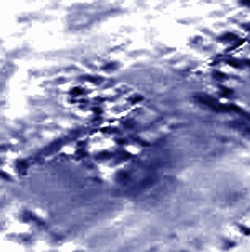 Pianta di una stanza e rovine di fondamenta e muri (Herald de Paris)