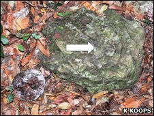 Frutti spaccati e mannaia con sopra dei residui di semi segnalati dalla freccia (BBC)