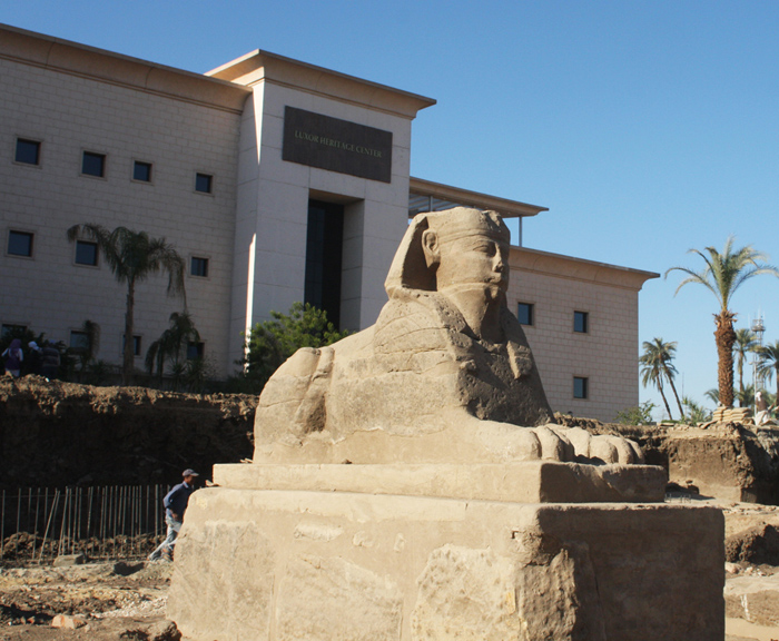 Una delle Sfingi dissotterrate (Jennifer Willoughby)