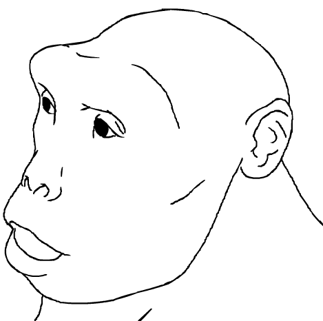 Ricostruzione di Sahelanthropus (wiki)