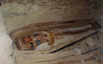 (Dr. Abdel Rahman El-Aydi)