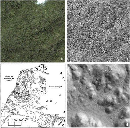 In senso orario: un'immagine satellitare, due immagini LiDAR e una mappa archeologica (Caracol Archaeological Project)