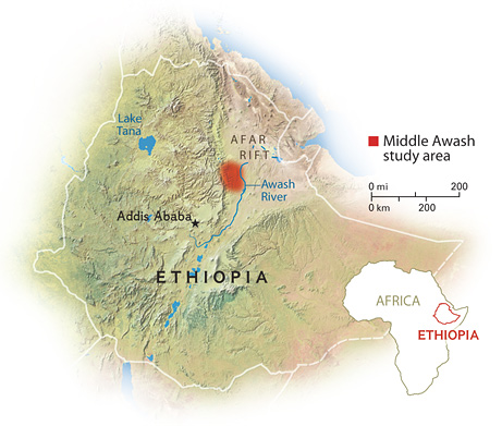 L'area del ritrovamento dei fossili (National Geographic)