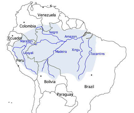 Il bacino dell'Amazzonia (wiki)