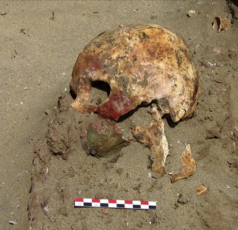 Sul teschio si distinguono aree colorate con del cinabro rosso (JAS, Elsevier, B. Guttierez León, 2007)