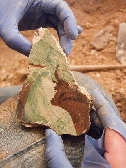 (University of Haifa)