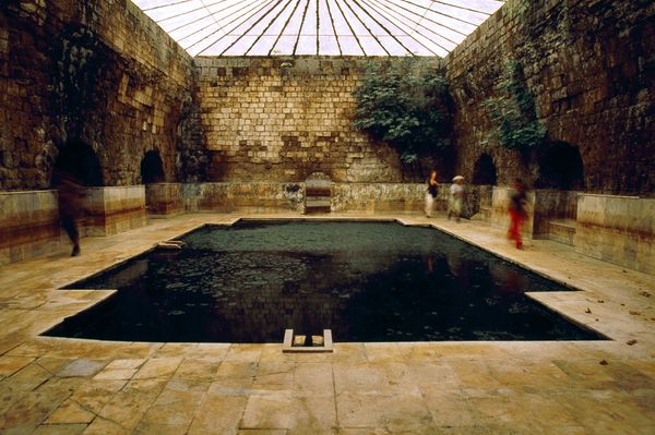 Una ricostruzione digitale (Manoocher, National Geographic)