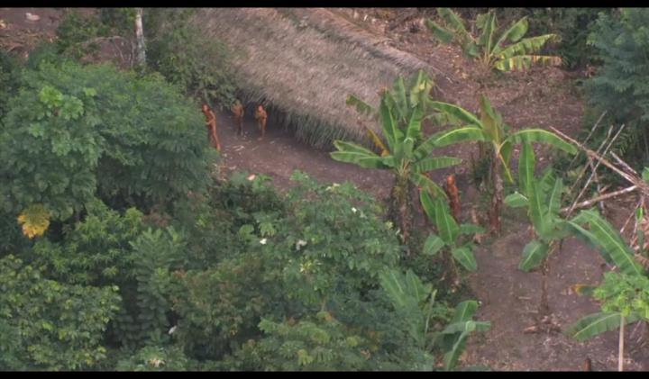 (Survival International)