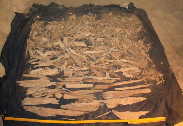 Frammenti di legno datati all'inizio della XII dinastia (U. of Naples L'Orientale / Boston U. Wadi Gawasis Proj.)