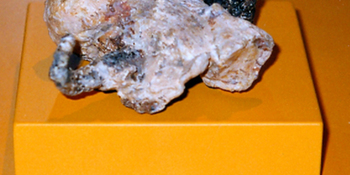 La replica del chiodo (robertcargill.com)