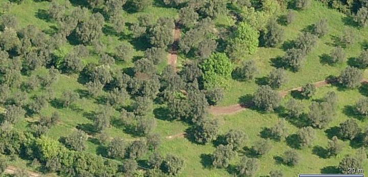 Spianata di Roccabruna (villa-adriana.net)