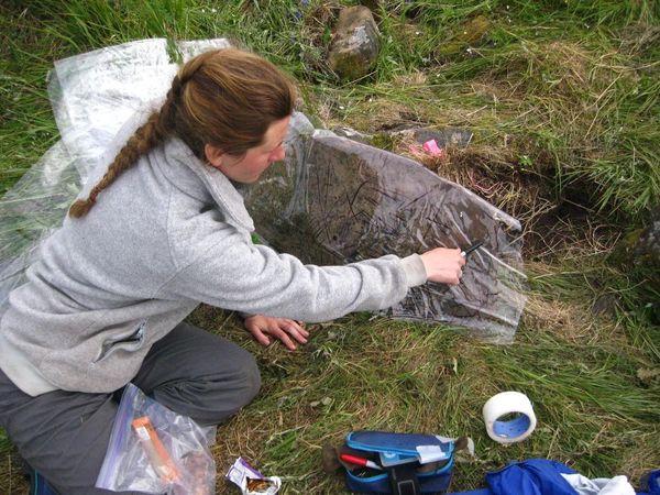 Il petroglifo (Scott Shirar)