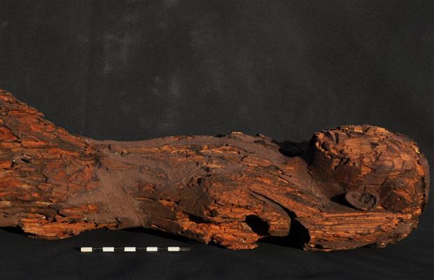 (Mary-Ann Pouls Wegner)