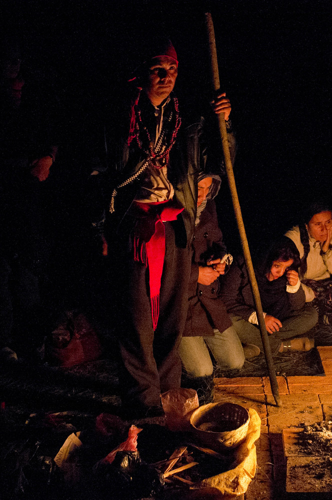 (AP Photo/Moises Castillo)