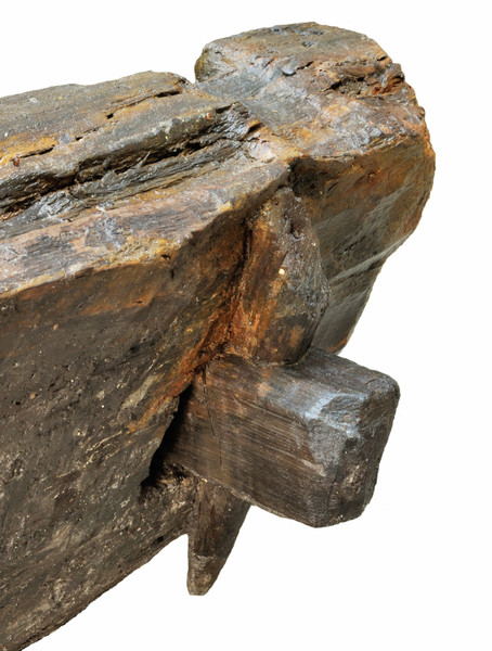 (Institute for Forest Growth at the University of Freiburg)