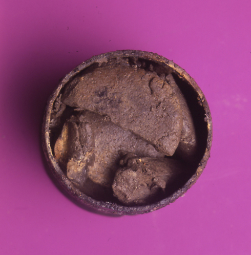 Una delle pissidi, con le compresse all’interno (MiBAC)