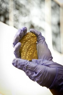 (staffordshirehoard.org.uk)