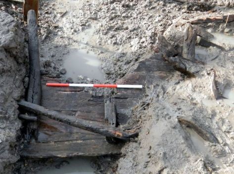 (Università degli Studi di Udine)