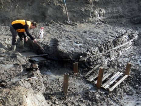 (Università degli Studi di Udine)