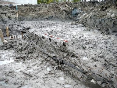 (Università degli Studi di Udine)