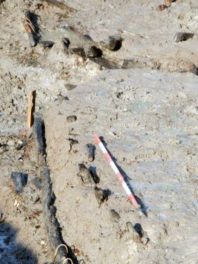 (Università degli Studi di Udine)