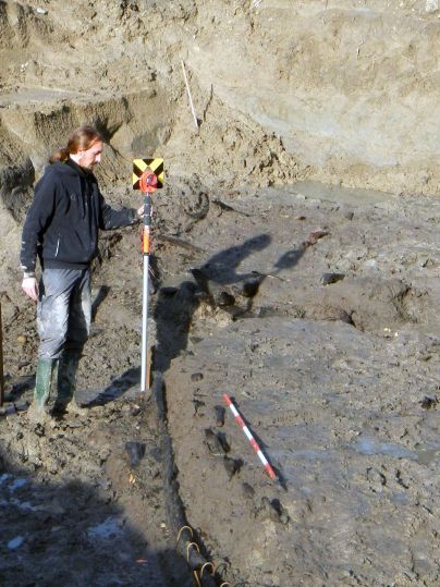 (Università degli Studi di Udine)