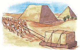 (MACMILLAN SOUTH AFRICA)