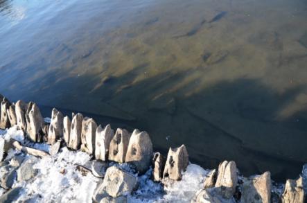 (Jim Hansson, Maritime Museum)