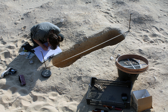 (The Amarna Project)