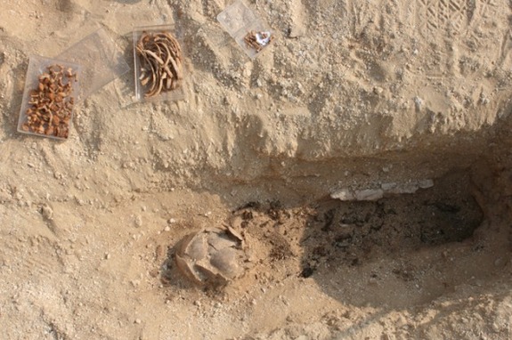 (The Amarna Project)