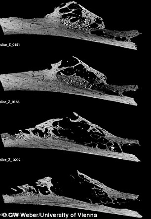 (University of Vienna)