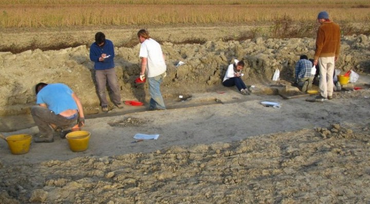 Archeologi all'opera (Università di Udine)
