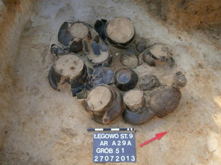 (Science and Scholarship in Poland)