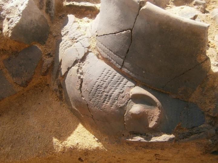 (Science and Scholarship in Poland)