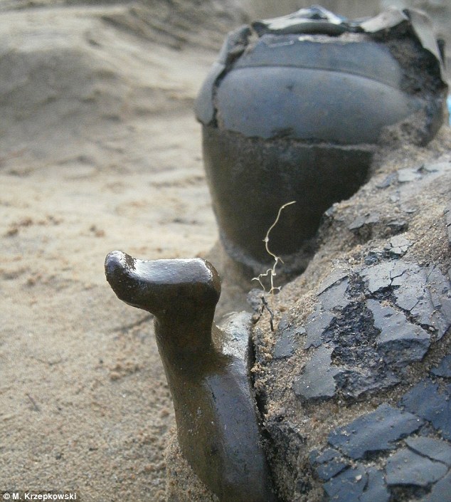 (Science and Scholarship in Poland)