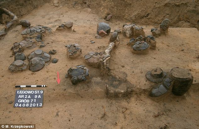 (Science and Scholarship in Poland)