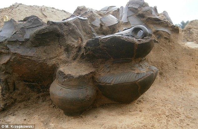 (Science and Scholarship in Poland)