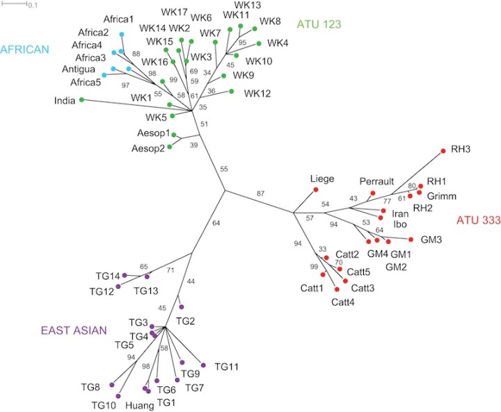 La ricerca si basa su 58 varianti della storia (Tehrani, PLOS ONE)