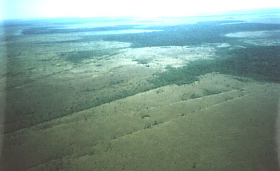 Strade preispaniche nell'Amazzonia boliviana (Università della Pennsylvania)