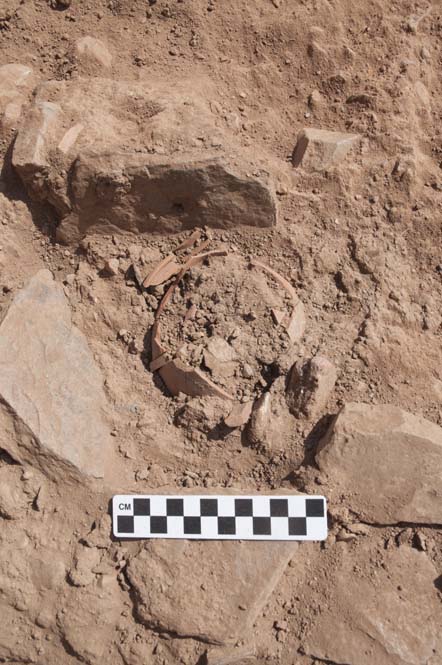 (Archaeological Exploration of Sardis / Harvard University)