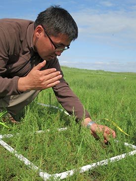 (Kevin Krajick/Earth Institute)