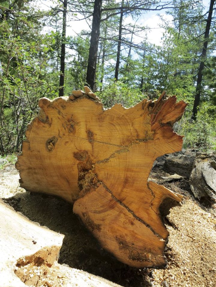 (Kevin Krajick/Earth Institute)