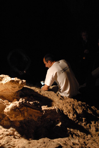 Laurent Bruxelles (Francis Duranthon, Muséum d’Histoire Naturelle de Toulouse)