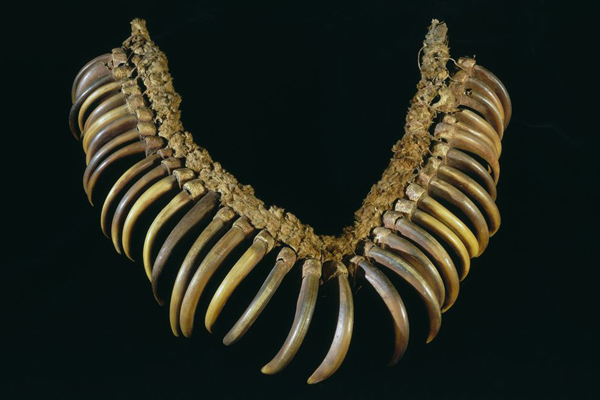 (Peabody Museum, Harvard)